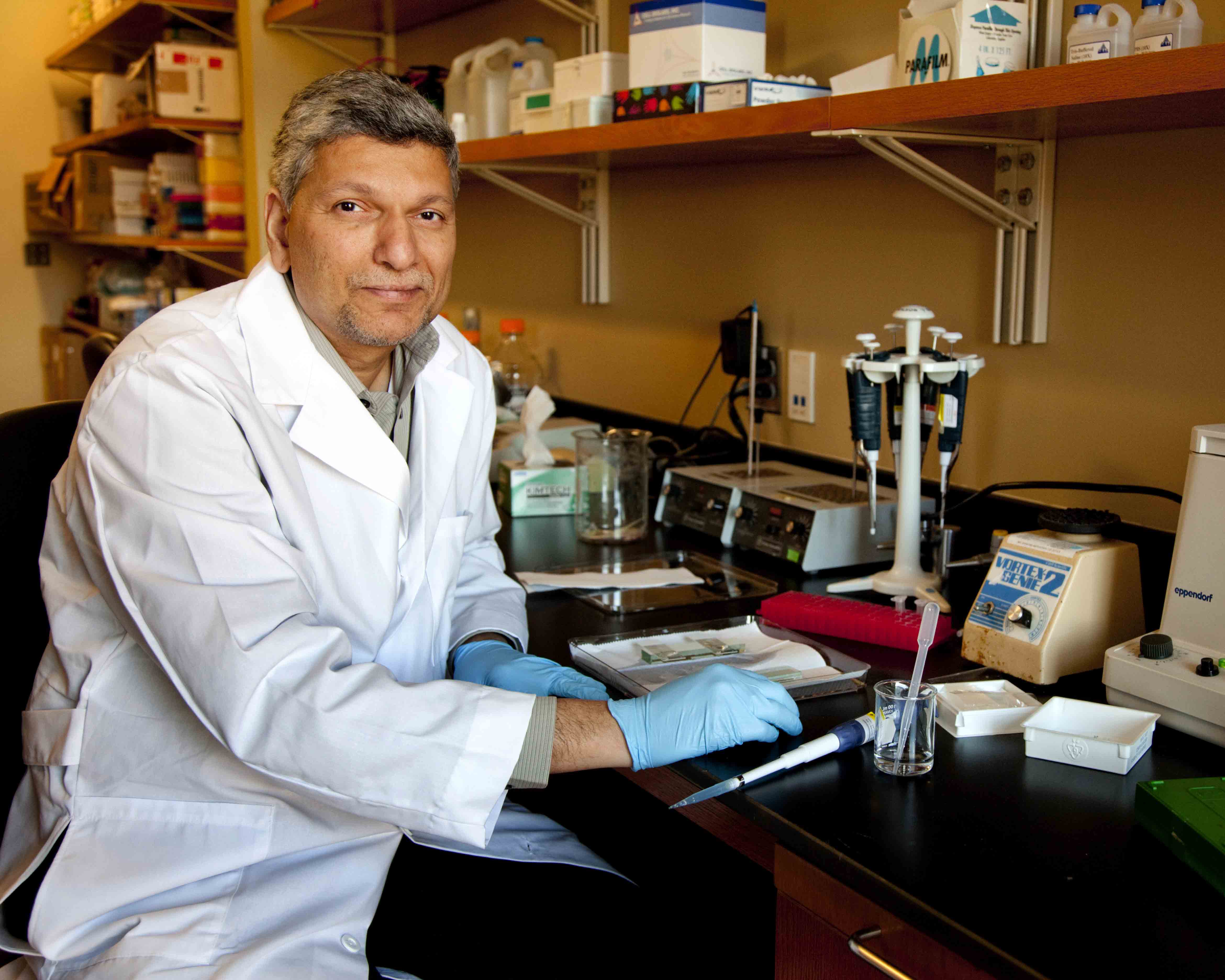 Bhide Lab discovers learning and memory deficits after aspartame